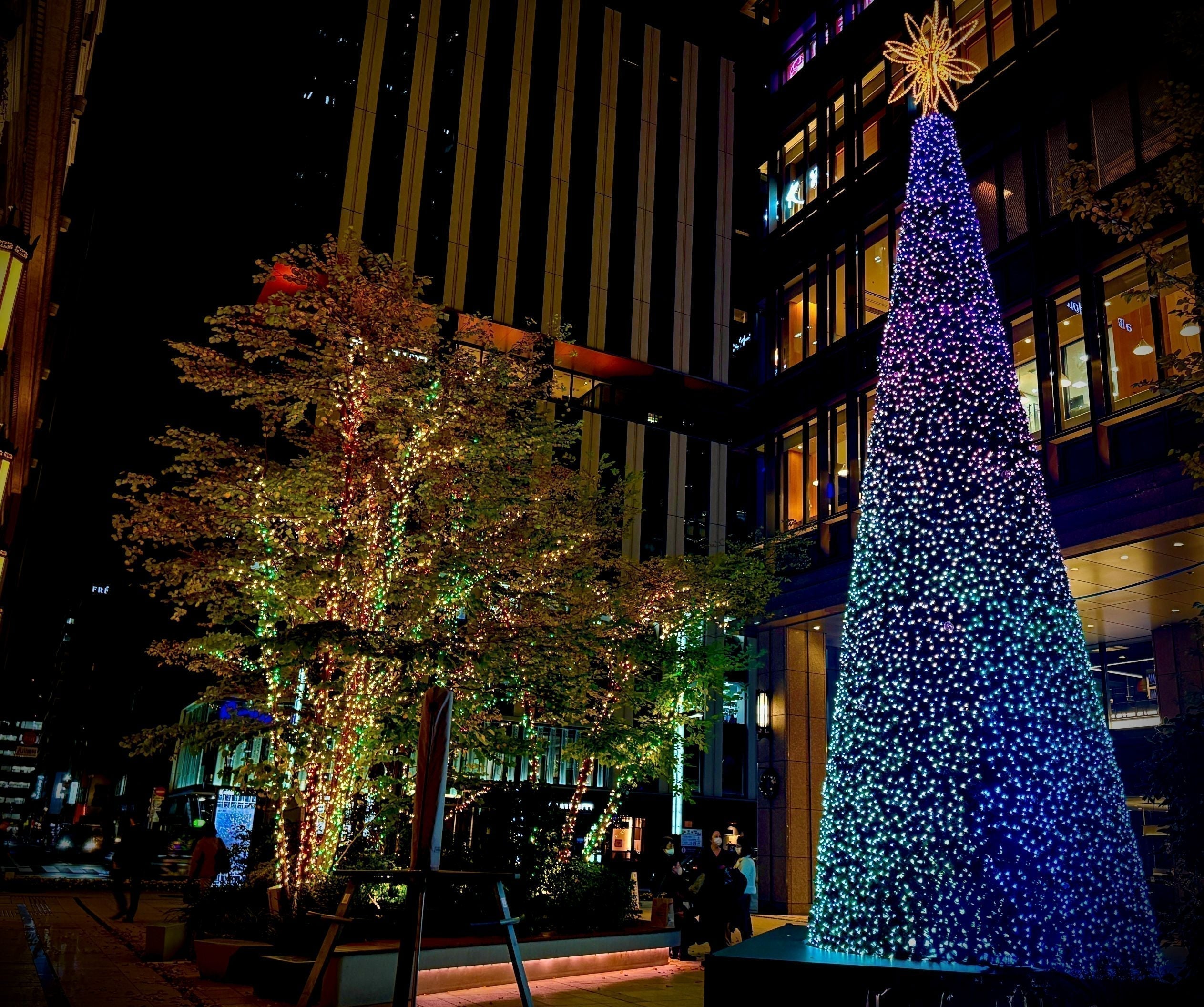 2025-2026 중앙구 내 일루미네이션 정보